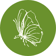 Eco-Realistik logo met groene achtergrond en witte vlinderillustratie.