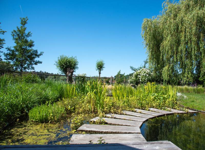 diensten_advies_1 Natuurlijke tuin met waterpartij en groene planten voor duurzame levensstijl.