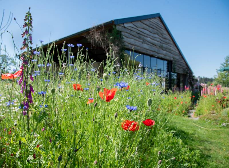 diensten_advies_4 Moderne eco-vriendelijke woning met bloemen en tuin in de voorgrond.