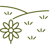 Eco-Realistik duurzame tuin met bloemen en groen, milieuvriendelijk ontwerp.