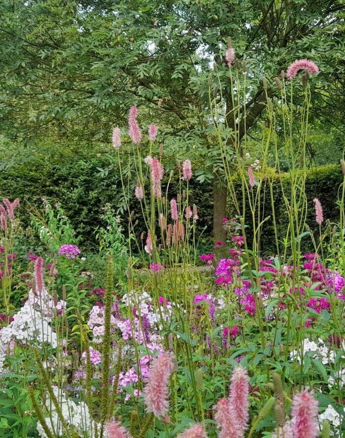 Kleurrijk bloemenperk met roze, wit en paars bloemen in een tuin.