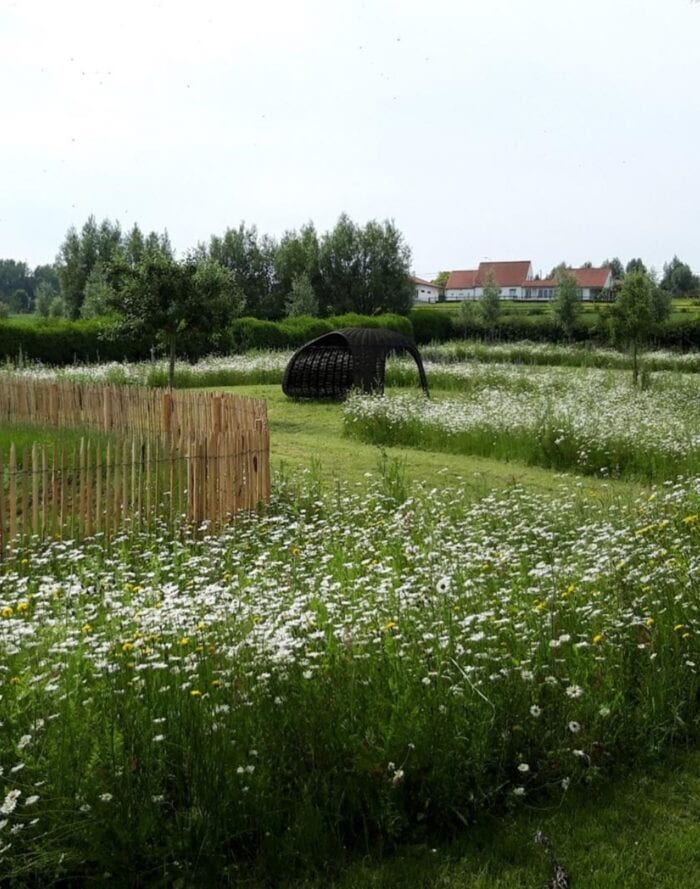 Natuurlijke tuin met bloemen, gras en houten hek in landelijke omgeving.