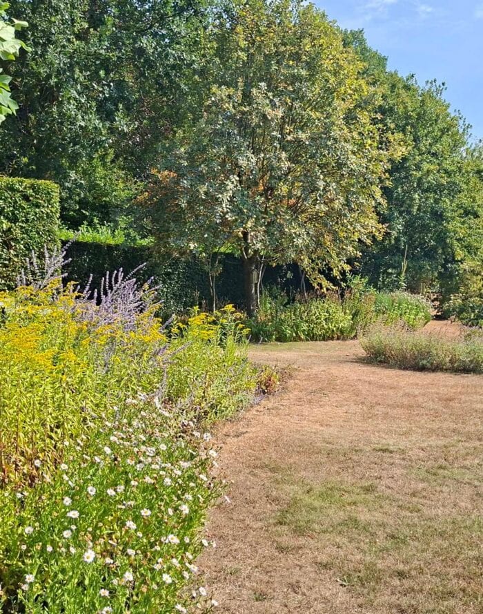Landschap met bloemen, bomen en een grasveld in een tuin of park.