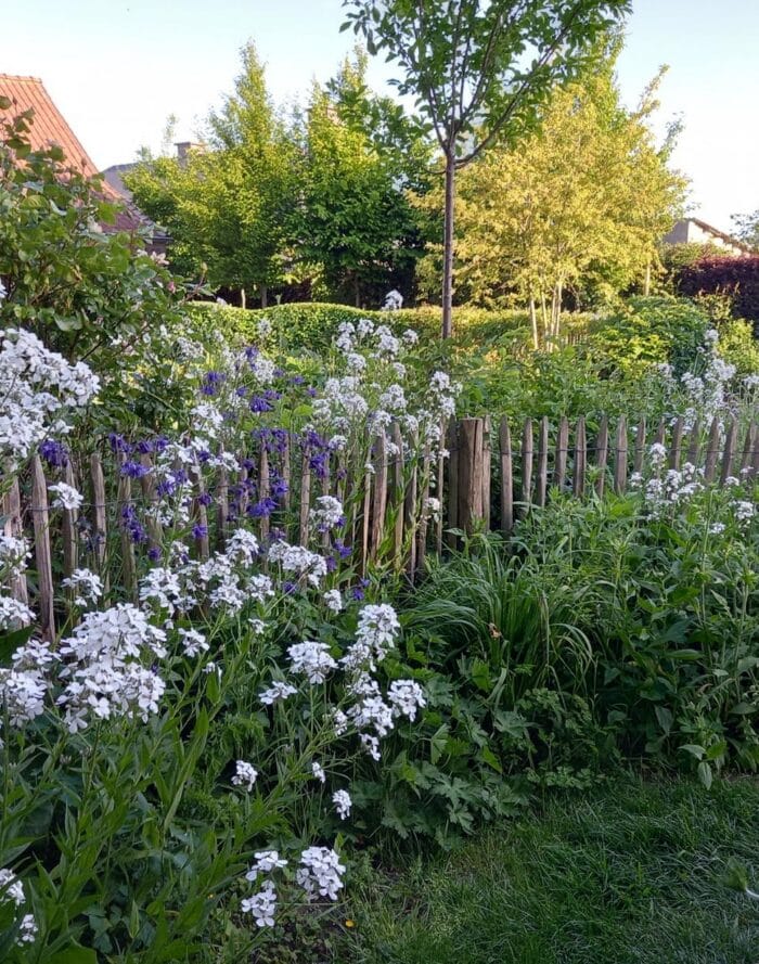 Tuin met bloemen en planten, omgeven door een houten hek en bomen in de achtergrond.