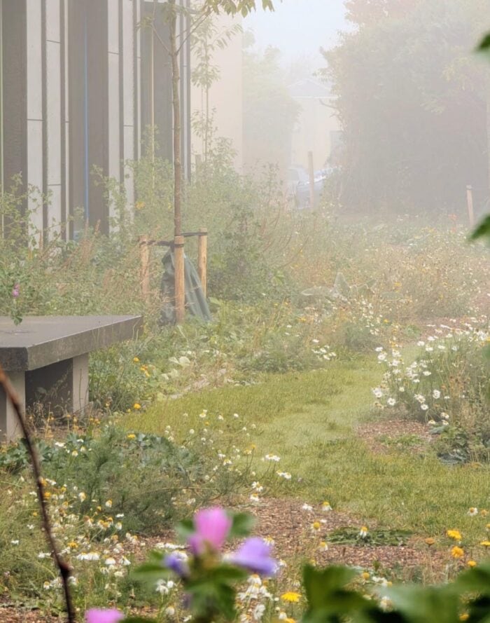 Eco-vriendelijke tuin met bloemen, gras en een bank in mistige ochtend.