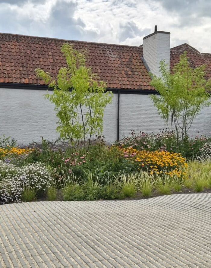 Eco Realistik Project Zottegem Img 20261022 Wa0008